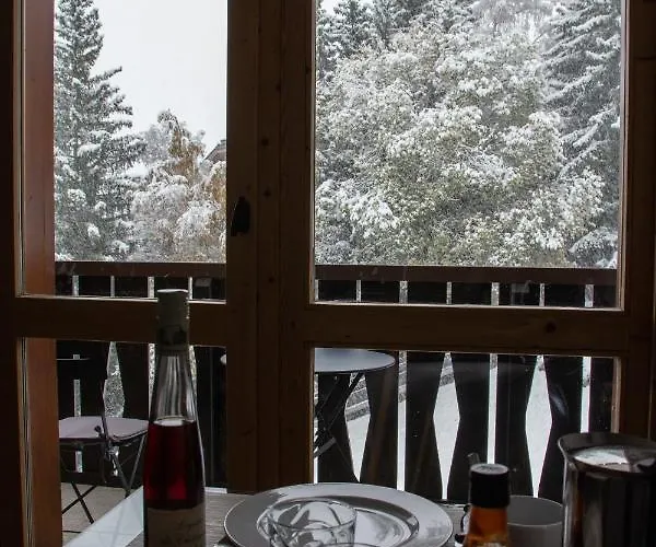 1550 - Superbe Skis Aux Pieds ! Apartment *