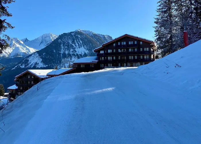 1550 - Superbe Skis Aux Pieds ! *