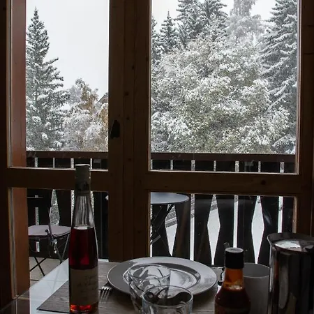 1550 - Superbe Skis Aux Pieds ! Apartment *